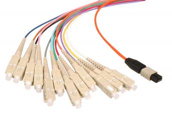 MTP/MPO(F)/SC 50/125µ, LowLoss5 m, OM4, LSZH, Fanout 