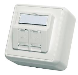 Modul-Aufnahme AP 80x80 2-fach 